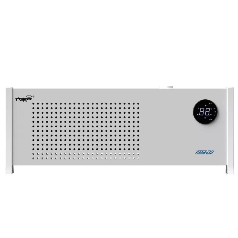 1100W Grafeno Zuriko Baseboard berogailu elektrikoa