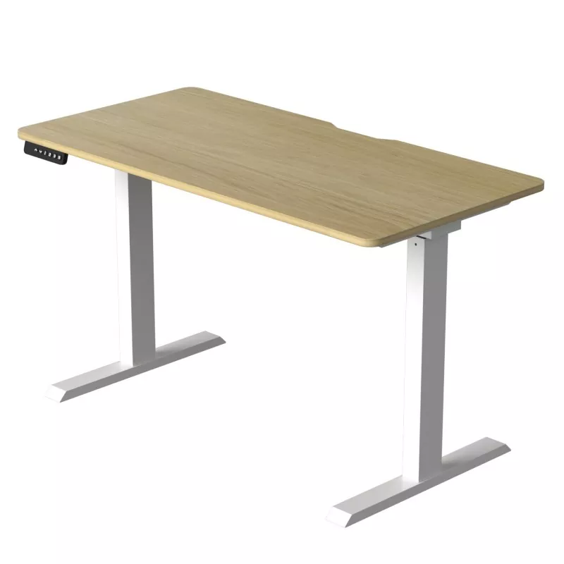Ergonomic Height Adjustable Electric Lift Table